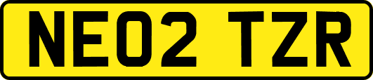 NE02TZR