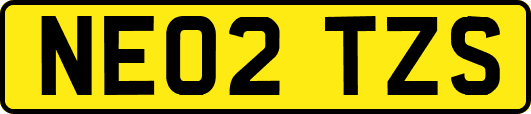 NE02TZS
