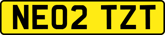 NE02TZT