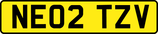 NE02TZV