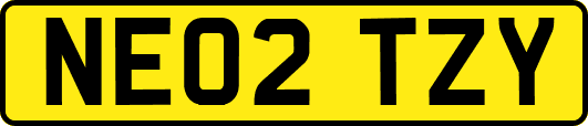 NE02TZY