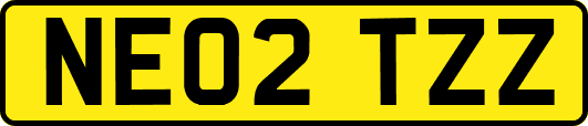 NE02TZZ