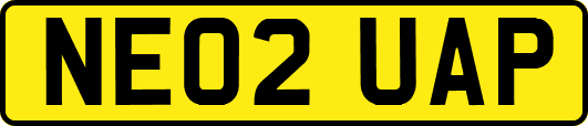NE02UAP