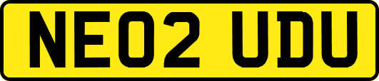 NE02UDU