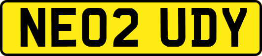 NE02UDY