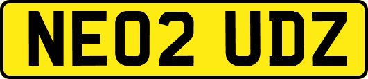 NE02UDZ