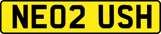 NE02USH