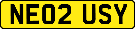 NE02USY