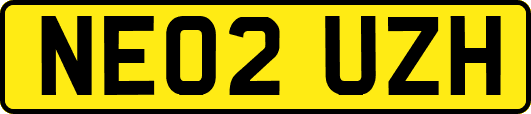 NE02UZH