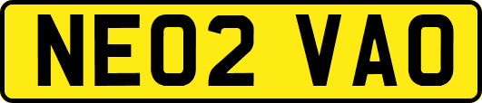 NE02VAO