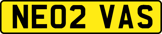 NE02VAS