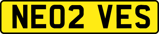 NE02VES