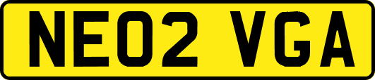 NE02VGA