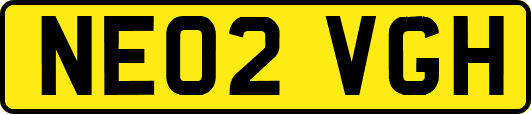 NE02VGH