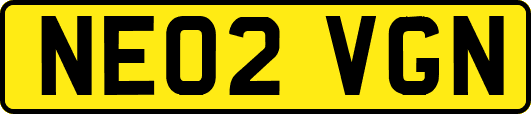 NE02VGN