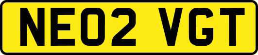 NE02VGT