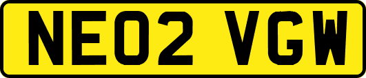 NE02VGW