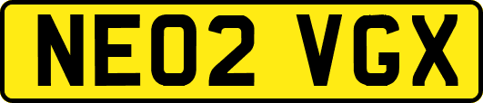 NE02VGX