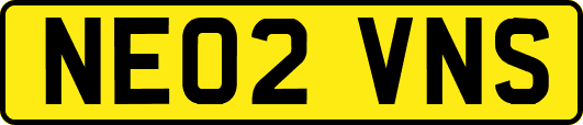 NE02VNS