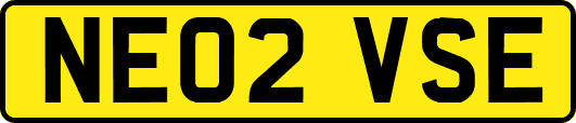 NE02VSE