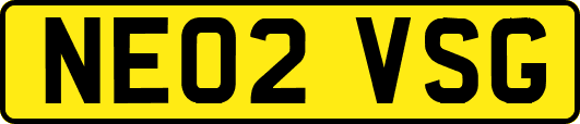 NE02VSG
