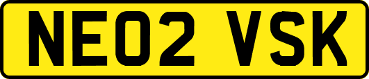 NE02VSK