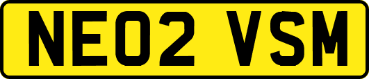 NE02VSM