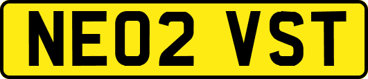 NE02VST