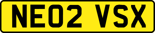NE02VSX