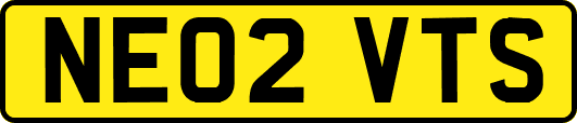 NE02VTS
