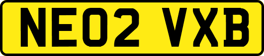 NE02VXB