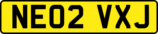 NE02VXJ