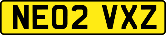 NE02VXZ
