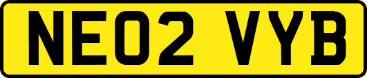 NE02VYB