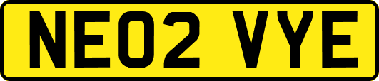 NE02VYE