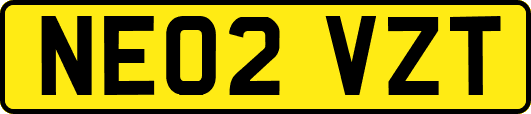NE02VZT