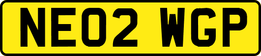 NE02WGP