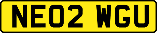 NE02WGU