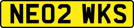 NE02WKS