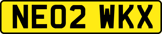 NE02WKX