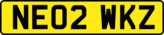 NE02WKZ