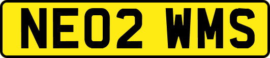 NE02WMS