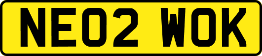 NE02WOK