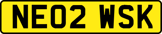 NE02WSK