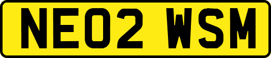NE02WSM