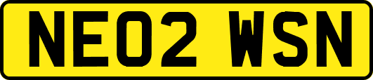NE02WSN