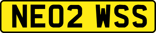 NE02WSS