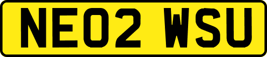 NE02WSU