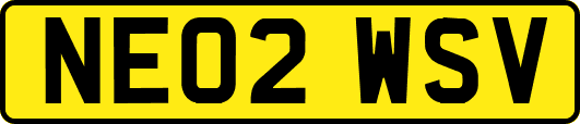 NE02WSV