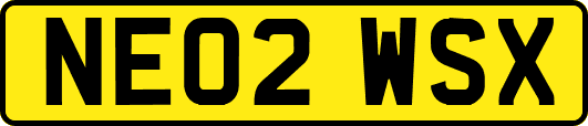 NE02WSX